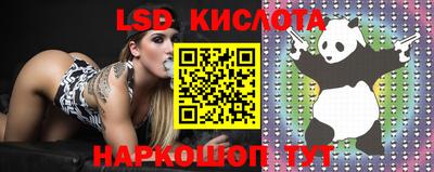 спиды Кулебаки