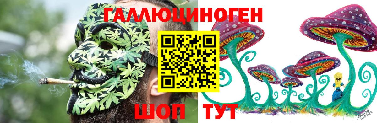 Псилоцибиновые грибы Psilocybe  Вход с VPN  Котельники 